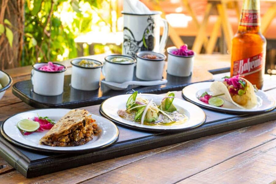 Cabo San Lucas: Cabo Foodie Grand Tour - Starting at Plaza Amelia Wilkes