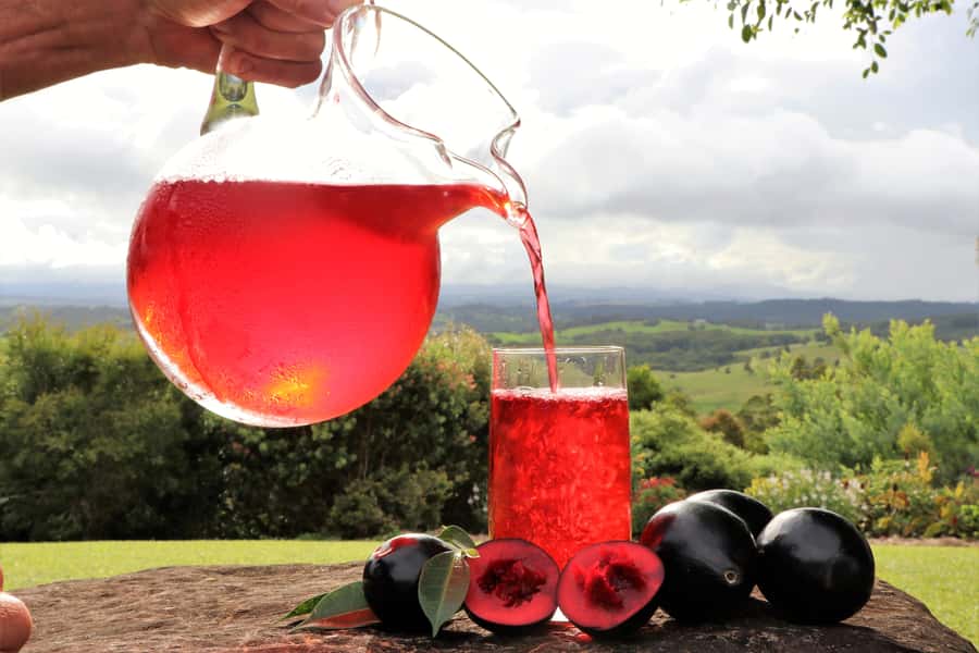 Cairns: Atherton Tablelands Full-Day Adventure - Gallo Dairyland adds cheese and chocolate