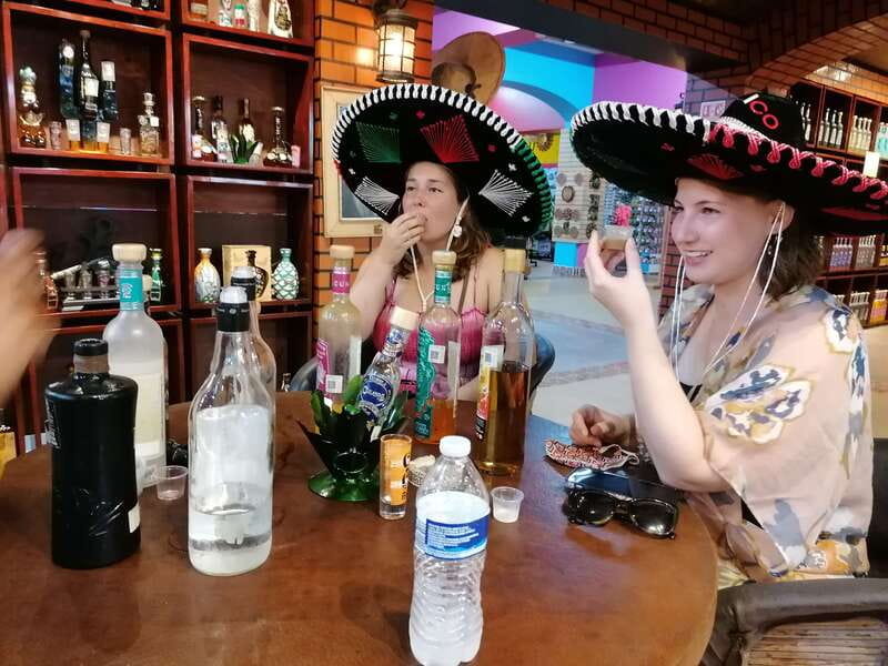 Cancun Taco Tour: Street Food & Tequila Tasting in Downtown - Seafood tacos and the case for variety