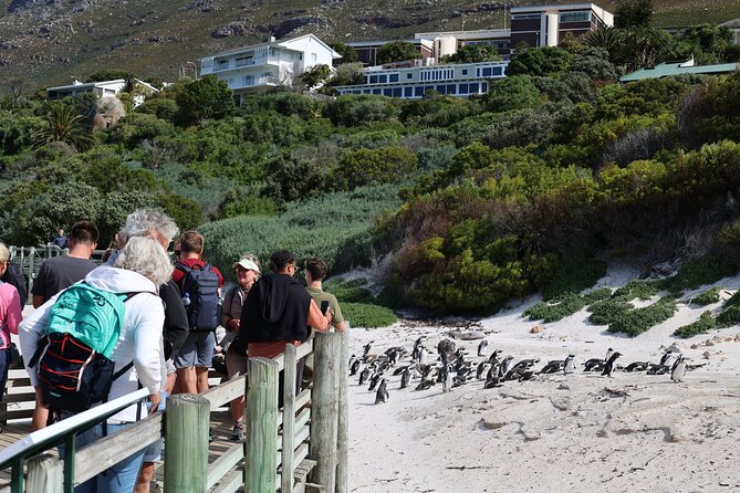 Cape Town: Cape of Good Hope, Table Mountain & Wine Tasting Tour - Cape Point is the day’s main event