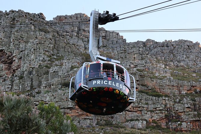 Cape Town: Cape of Good Hope, Table Mountain & Wine Tasting Tour - Boulders Beach brings you close to African penguins
