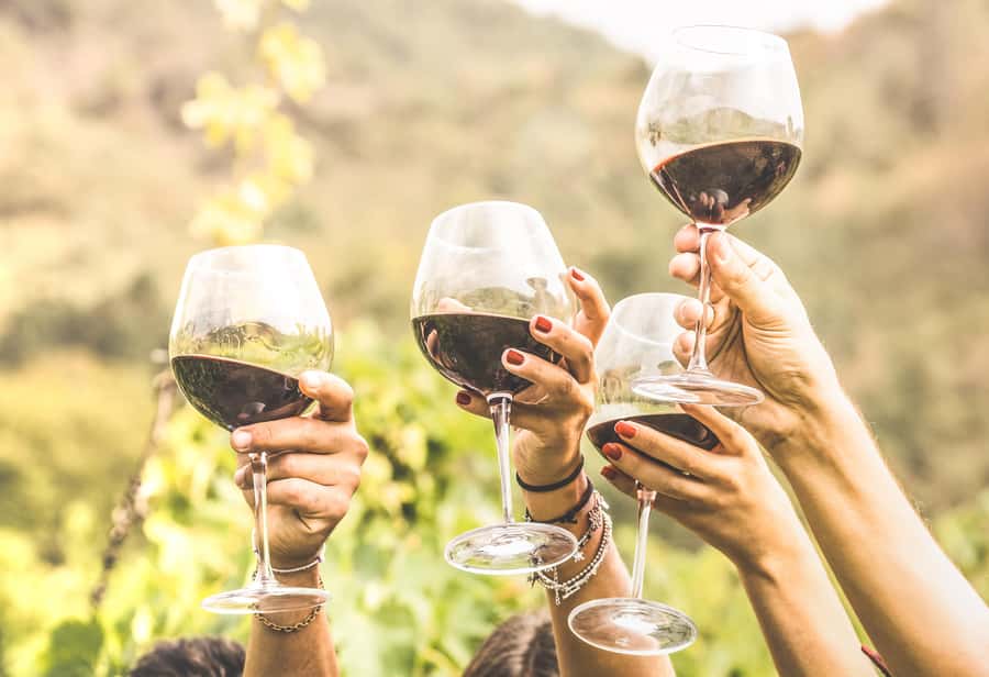 Cape Town: Full-Day Wine Tasting Tour with Wine Tram - Tokara brings a different style of tasting