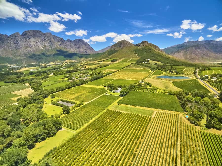 Cape Town: Full-Day Wine Tasting Tour with Wine Tram - The Mandela memorial stop on the return