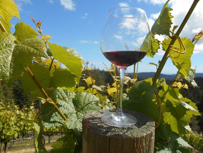 Carmel Valley Wine Tasting Tour - Key points to know before booking