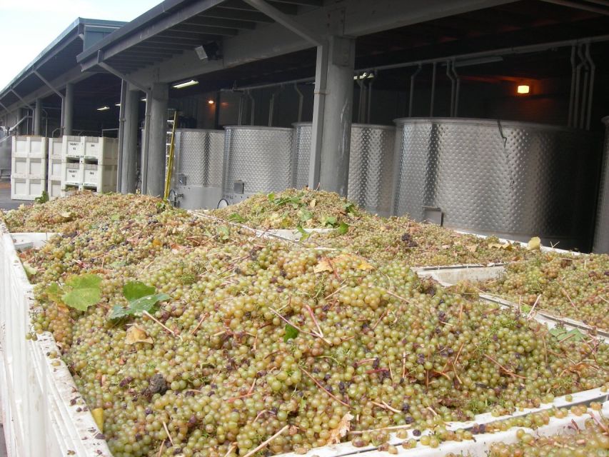 Carmel Valley Wine Tasting Tour - The guide can make or break the day