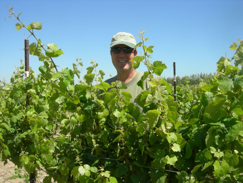 Carmel Valley Wine Tasting Tour - Small-group travel and the $206 price