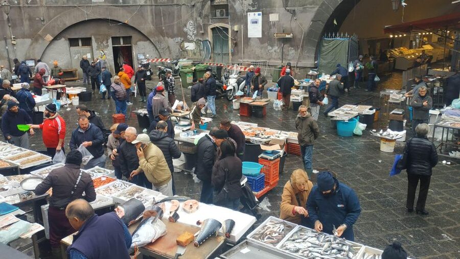 Catania Street Food Tour: Fish Market & City Centre - Seeing Catania’s Pescheria in the morning