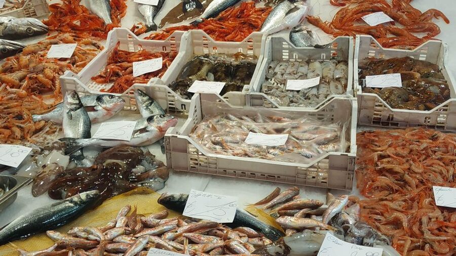 Catania Street Food Tour: Fish Market & City Centre - Meeting the guide in Piazza Duomo