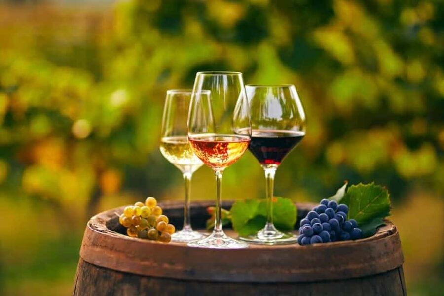 Chania Area: Food Tasting Tour with Winery Visit - From Chania to the ancient olive tree at Vouves