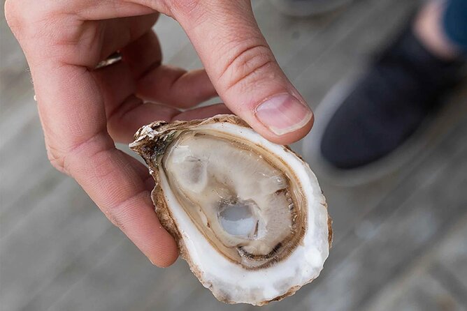 Charlottetown Food Walking Tour - Lobster on the Wharf finishes with an oyster ritual