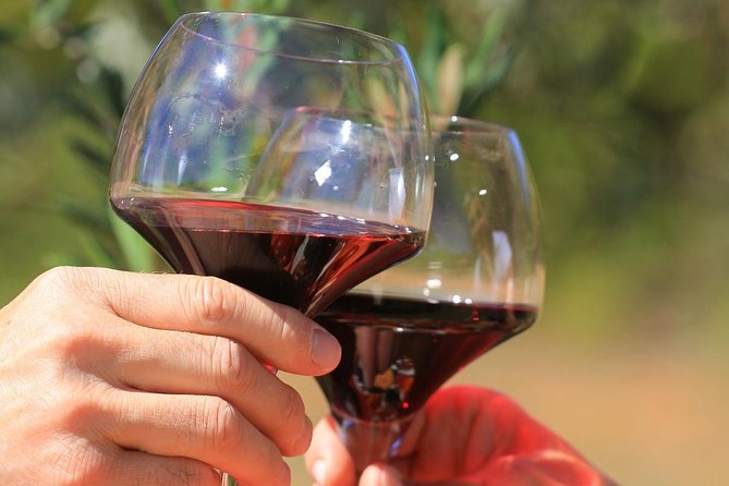 Châteauneuf du Pape Wine Day Tasting Tour including Lunch from Avignon - Why this Rhône wine day works so well