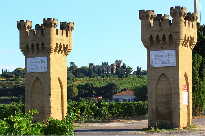 Châteauneuf du Pape Wine Day Tasting Tour including Lunch from Avignon - The guides make or break the day