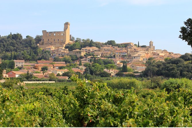 Châteauneuf du Pape Wine Day Tasting Tour including Lunch from Avignon - What the $193.57 price includes