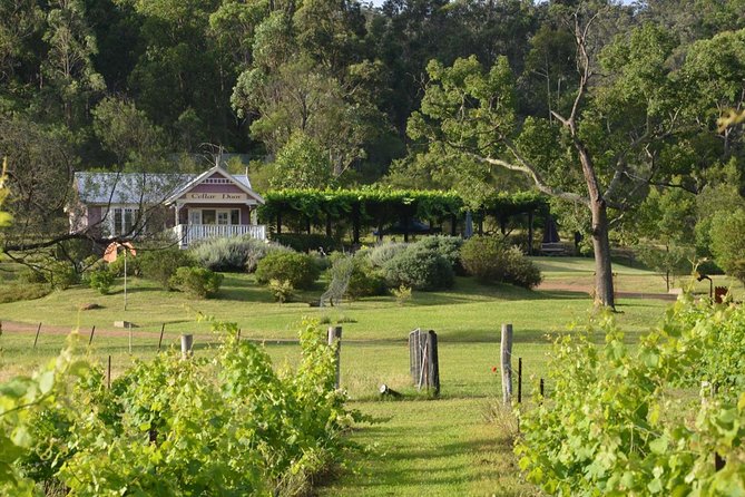 Chef-Led Hunter Valley Gourmet Food and Wine Day Tour from Sydney - Starting in Sydney with breakfast and a seafood market