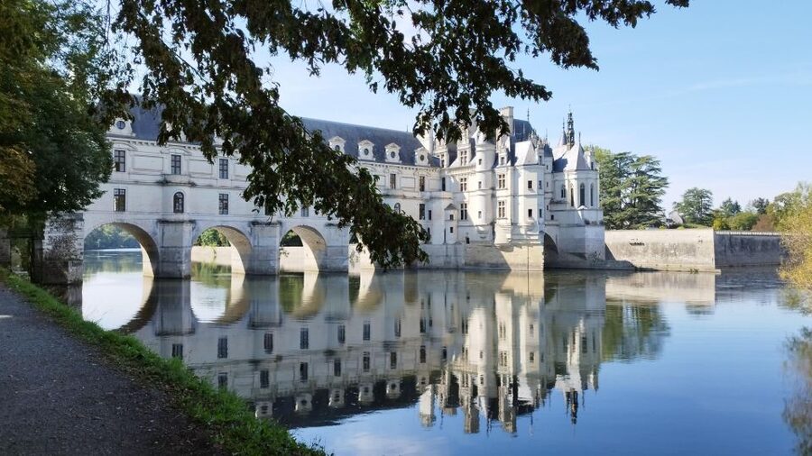 Chenonceau: E-Bike Guided Tour & Gourmet Picnic Lunch - Who should book this Loire Valley tour?