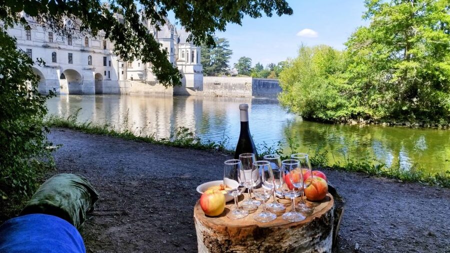 Chenonceau: E-Bike Guided Tour & Gourmet Picnic Lunch - From Roman Thésée along the Cher River