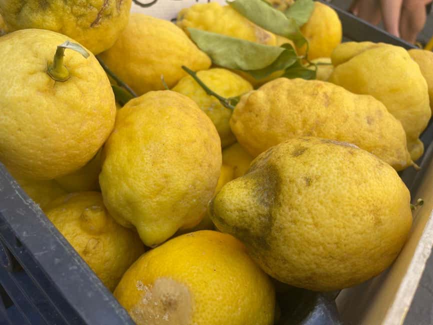 Civitavecchia: Historical and Culinary Walking Tour - Walking demands, timing, and comfort