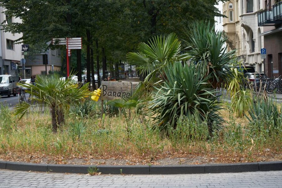 Cologne: Südstadt Guided Foodie Walking Tour - Cologne history between the food stops