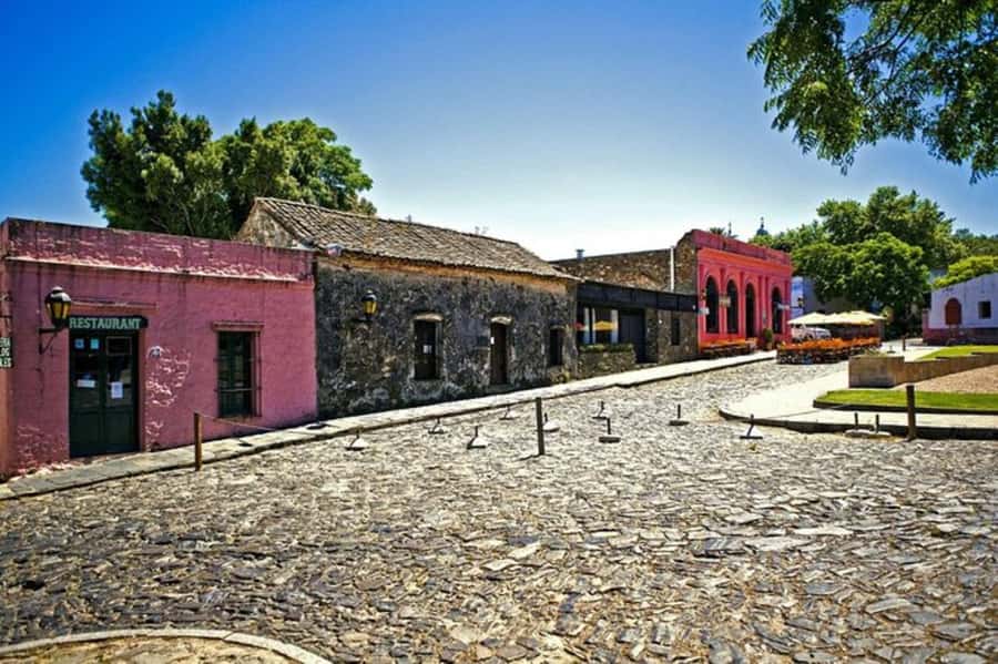 Colonia del Sacramento: Small-Group Day Trip - The guide can make the day