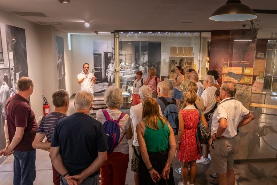 Confiserie du Roy René: gourmet guided tour of the calisson museum - Why a calisson deserves its own museum