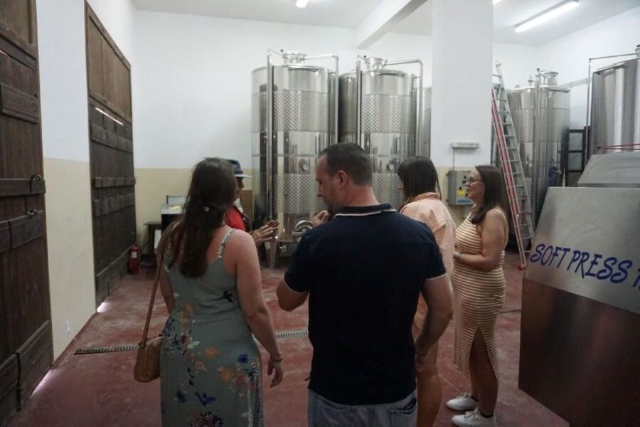 Crete: Full-Day Cretan Wines, Olive Oil, Raki and Food Tour - Thrapsano pottery and a chance to use the wheel