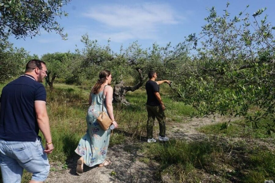 Crete: Full-Day Cretan Wines, Olive Oil, Raki and Food Tour - Transport, timing, and group size