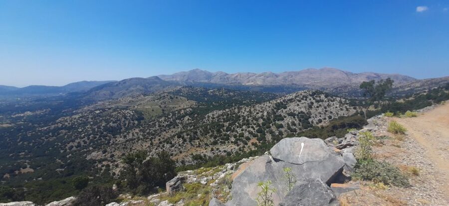 Crete: Olive, Wine, & Raki on a Flavorful Culinary Journey - Small practical details that improve the day