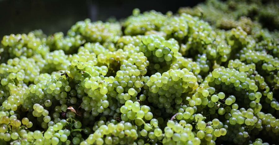 Crete: Olive, Wine, & Raki on a Flavorful Culinary Journey - Should you book the Crete olive, wine, and raki tour?