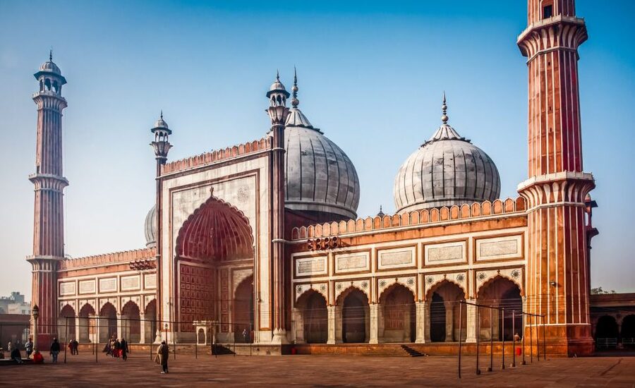 Delhi: Old Delhi City Tour with Tuk Tuk Ride & Street Food - Walking the markets and choosing street food