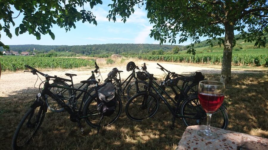 Dijon: Half-Day Guided Gourmet Bike Tour - Fixin and Brochon: A Ride With Room to Pause