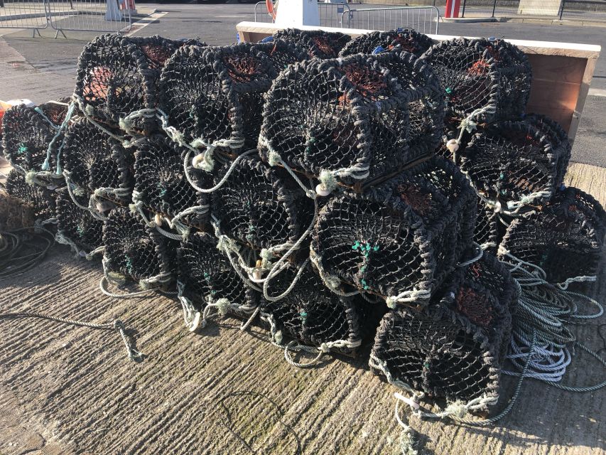 Dublin: Howth Coastal Craft Beer and Seafood Tour - Who will enjoy this Howth outing most?