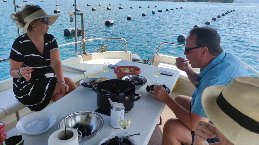 Dubrovnik: Oyster, Mussles, and Wine Tasting Tour in Ston - Key points at a glance