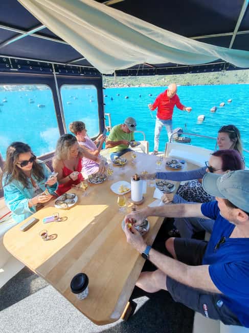 Dubrovnik: Oyster, Mussles, and Wine Tasting Tour in Ston - The family winery on the Pelješac peninsula