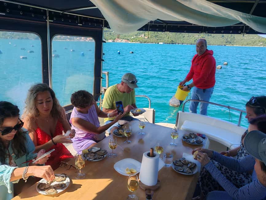 Dubrovnik: Oyster, Mussles, and Wine Tasting Tour in Ston - Who will enjoy this Ston experience most?