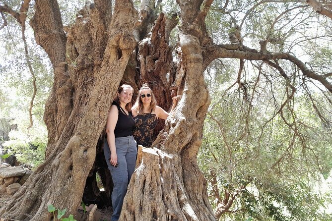 Eat & Crete Food Tour [non-touristy] Chania Villages - Who will enjoy this five-hour outing