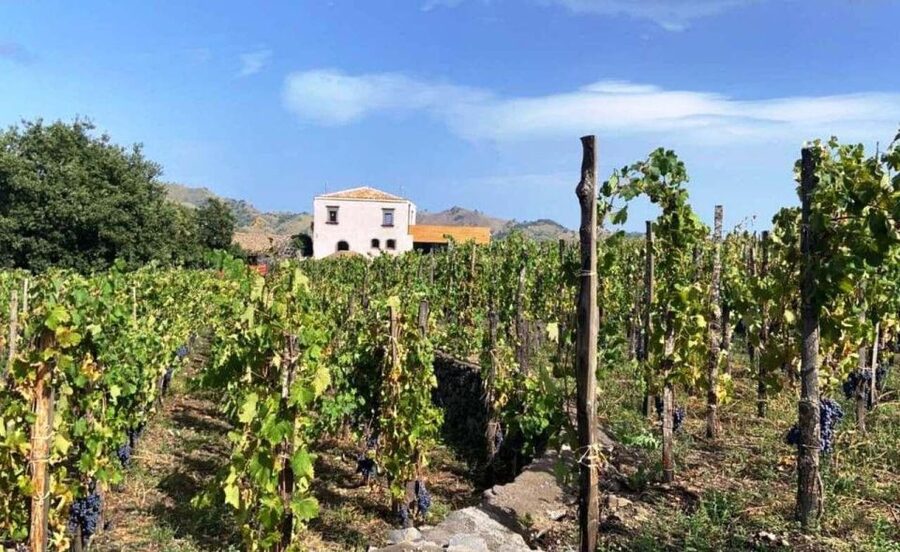 Etna: Wine Tasting and Food Tour - Why this Etna day works so well