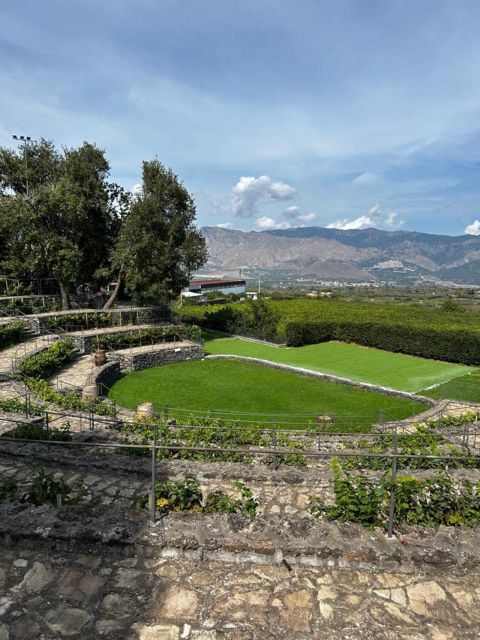 Etna: Wine Tasting and Food Tour - The first winery and the first three wines