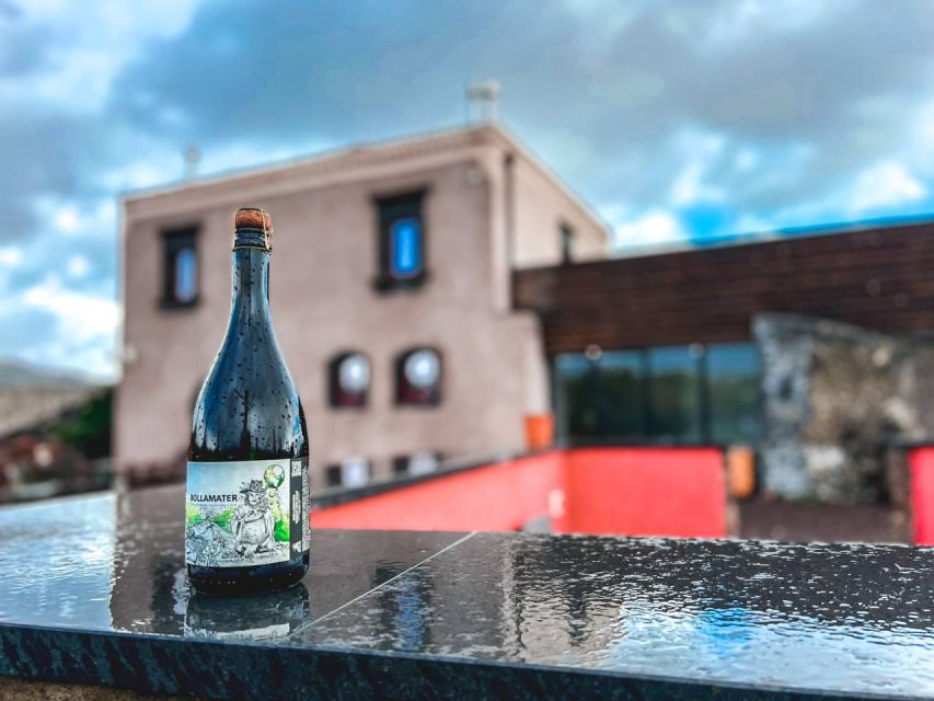 Etna: Wine Tasting and Food Tour - Lunch at the second winery