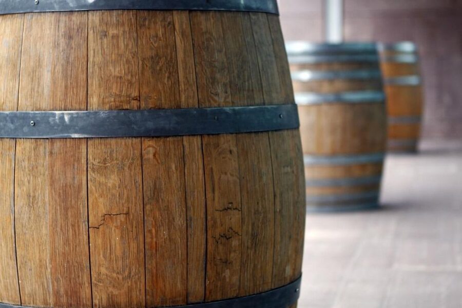 Etna: Wine Tasting and Food Tour - Walking among the vines after lunch