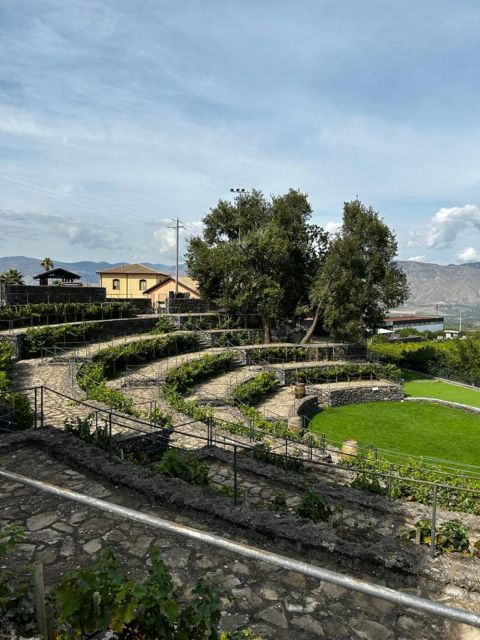 Etna: Wine Tasting and Food Tour - Who should book this tour?
