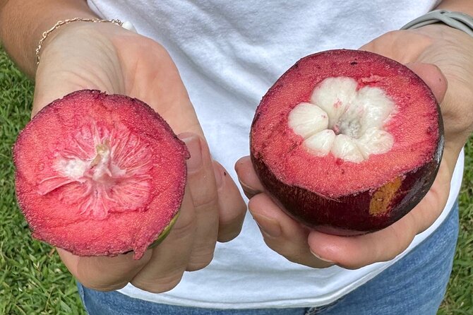 Exotic Fruit Tasting Tour in Kona - Quick take: what makes this tasting worth your time