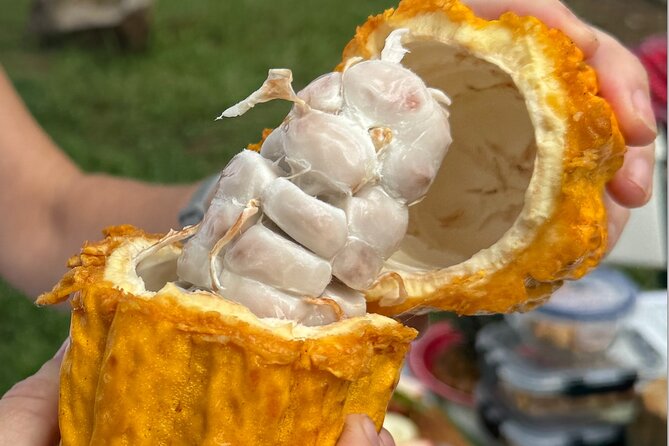 Exotic Fruit Tasting Tour in Kona - Is the $84.99 price good value?