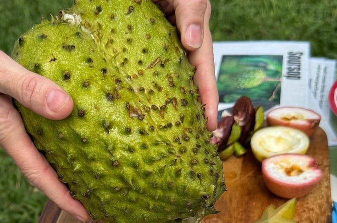 Exotic Fruit Tasting Tour in Kona - Who will enjoy this most?