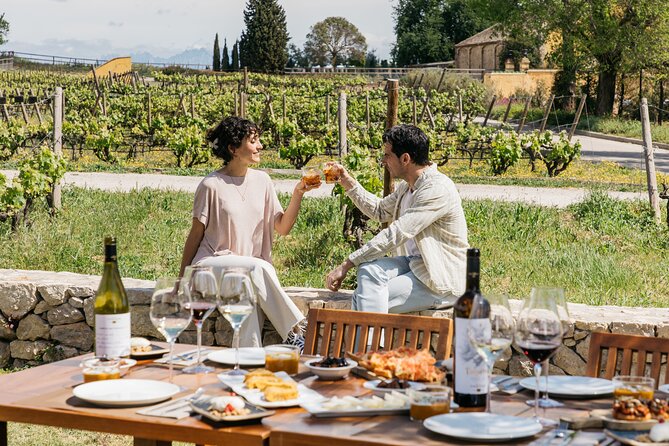 Familia Torres Winery: Gastronomic Tapas & Wine Experience - Four wines with four different roles