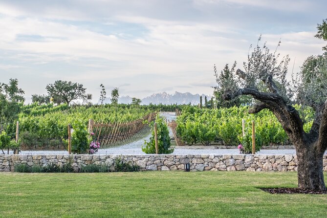 Familia Torres Winery: Gastronomic Tapas & Wine Experience - What the scale means for your day