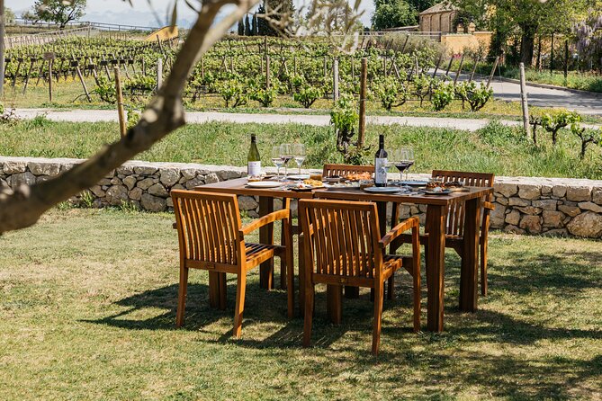 Familia Torres Winery: Gastronomic Tapas & Wine Experience - Families, non-drinkers, and practical details