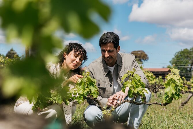 Familia Torres Winery: Gastronomic Tapas & Wine Experience - A Catalan meal instead of token snacks