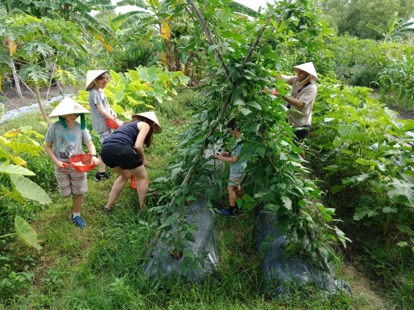 Farm-To-Table Healthy Cooking Class: Half-Day Tour - Rice cultivation and everyday Vietnamese agriculture
