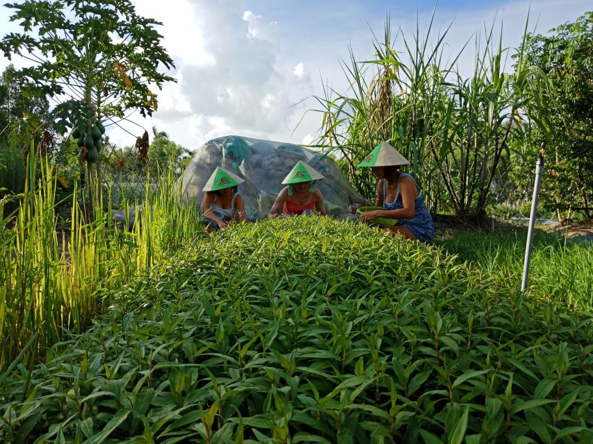 Farm-To-Table Healthy Cooking Class: Half-Day Tour - The medicine garden: vegetables with a purpose