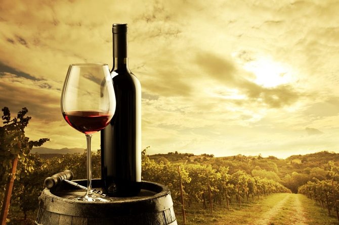 Feed Me Food and Wine Experience in Adelaide - Who Will Enjoy This Most?